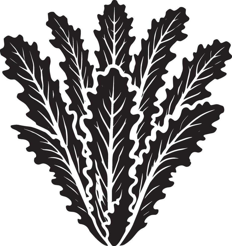 Unique lettuce plant silhouette design on a pristine white backdrop vector