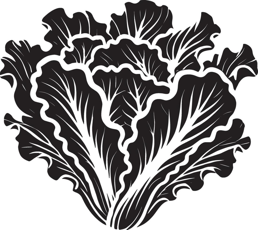 Harmonious lettuce leaf silhouette on a clean white backdrop vector