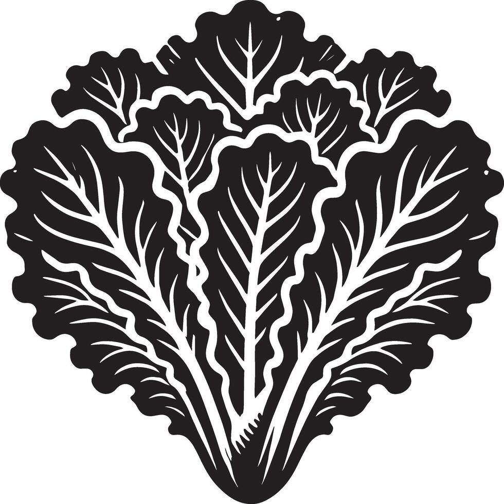 Minimalist lettuce leaf shadow on a clean white backdrop vector