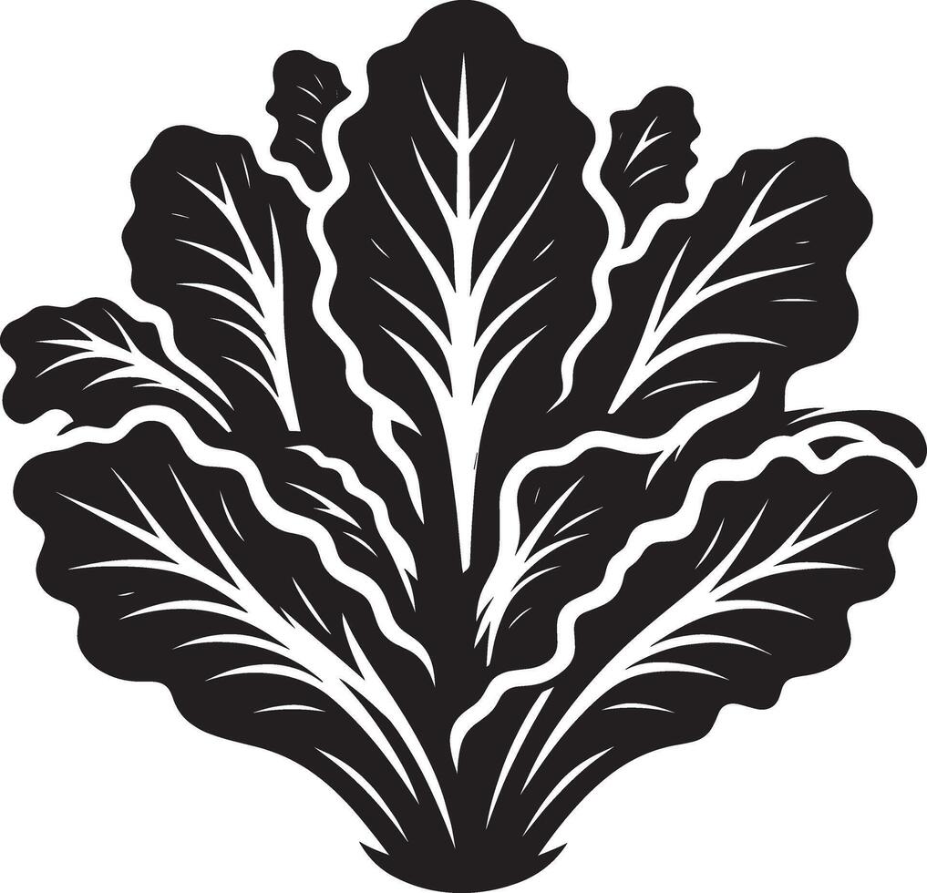 Sleek lettuce leaf shadow on clean white vector