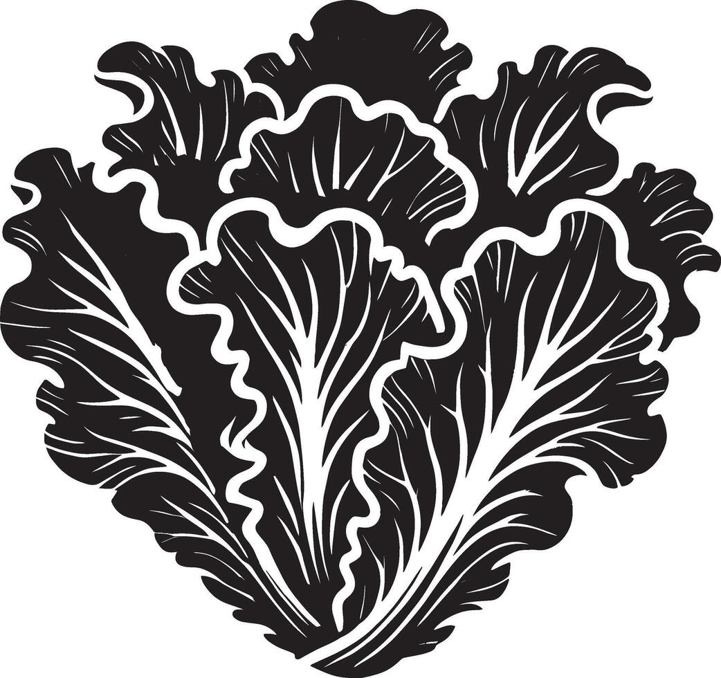 Bold lettuce plant silhouette design on white vector