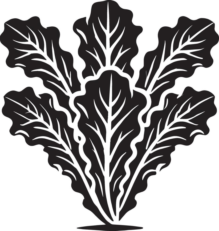 Modern lettuce leaf artwork on a white backdrop vector
