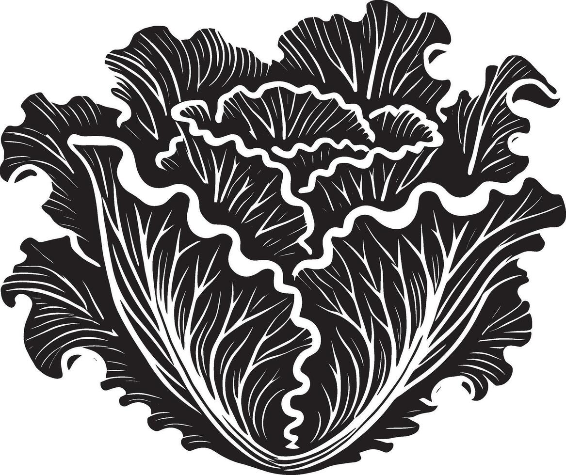Refined lettuce leaf shadow artwork on a clean white surface vector