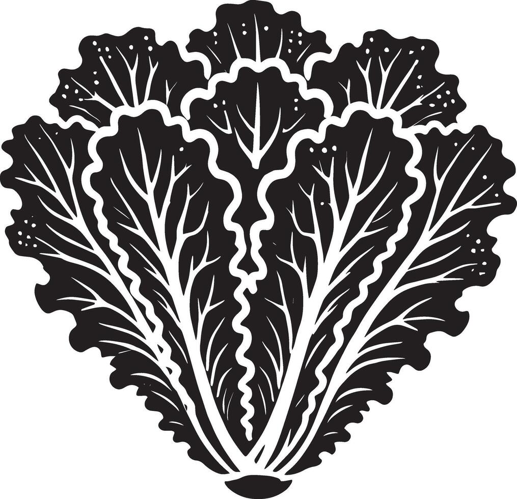 Lovely lettuce leaf silhouette on a pure white background vector