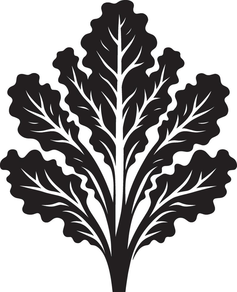 Graceful lettuce leaf silhouette on a pristine white surface vector