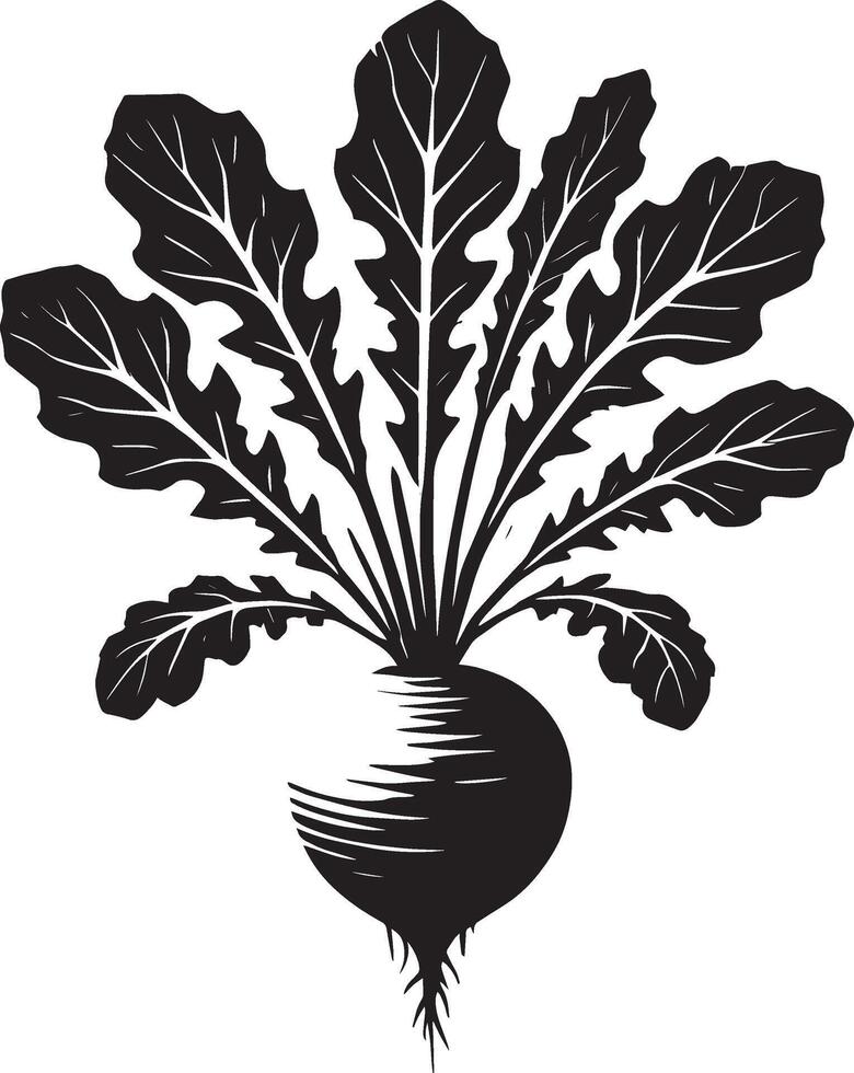 Tasty radish root shadow artwork on a blank white canvas vector