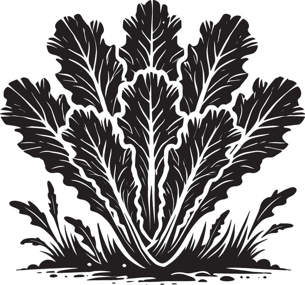 Subtle lettuce leaf shadow design on a clean white canvas vector