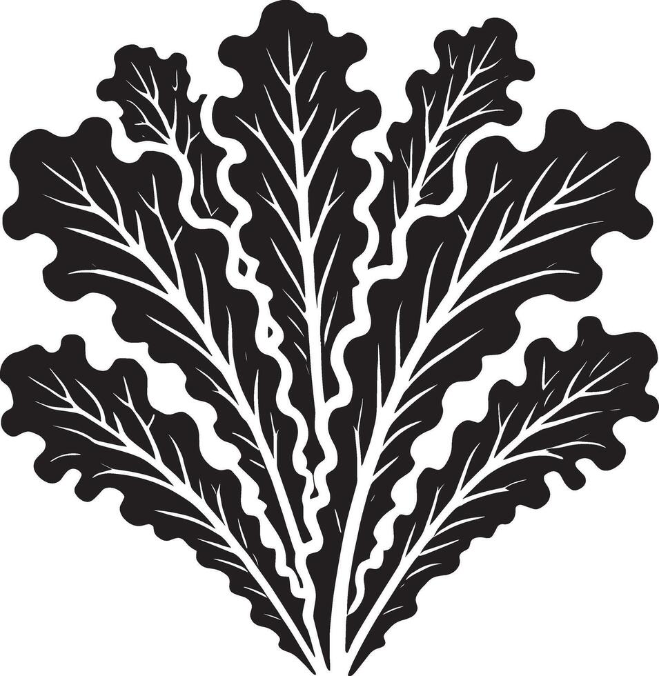 Bold and elegant lettuce leaf illustration on white vector