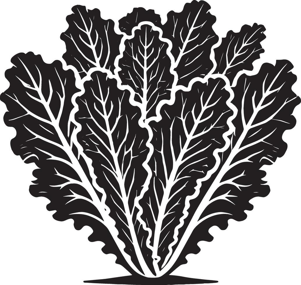 Breathtaking lettuce leaf silhouette illustration on a clean white backdrop vector