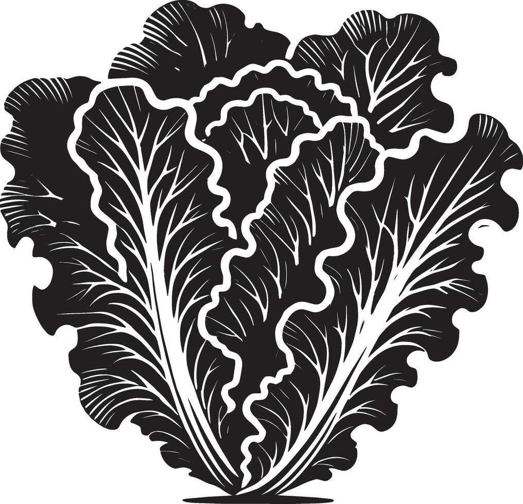 Striking lettuce leaf shadow design on white vector