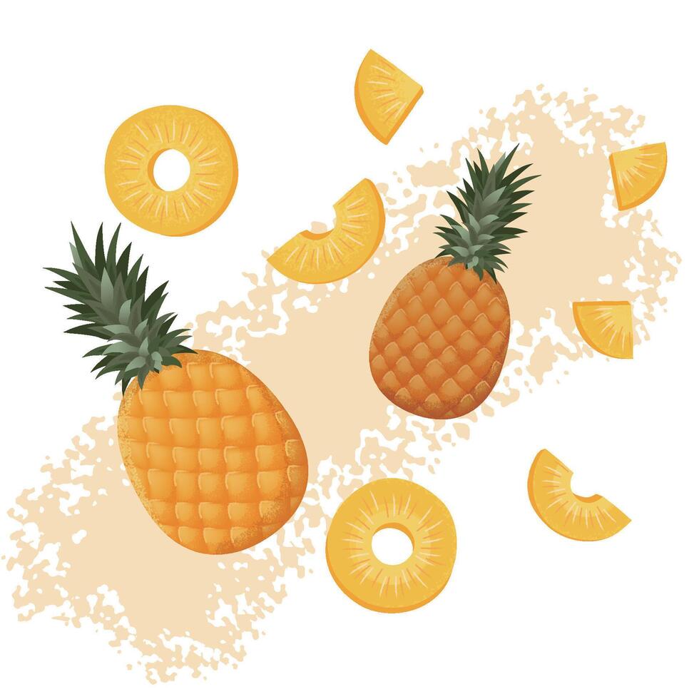 Detailed and Artistic Illustration of Pineapples and Slices with Rich Colors vector