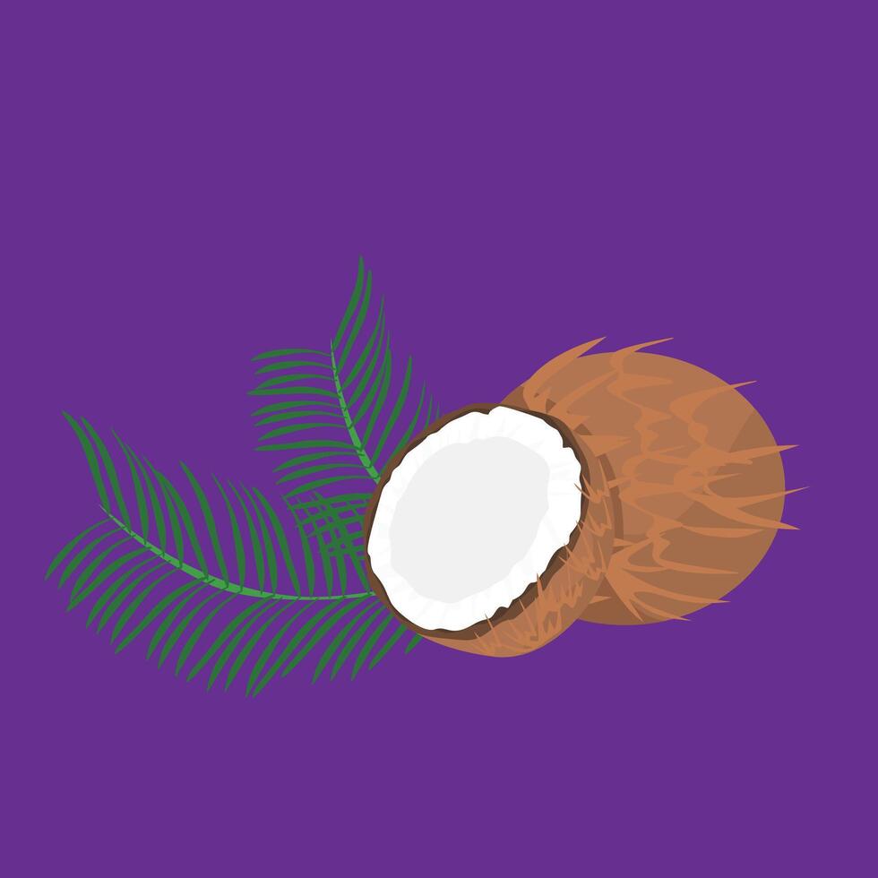 Chocolate coconut half coco santan old coconut flat design vector