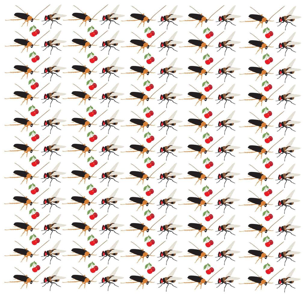 cockroach, fly with fruit as a pattern background vector