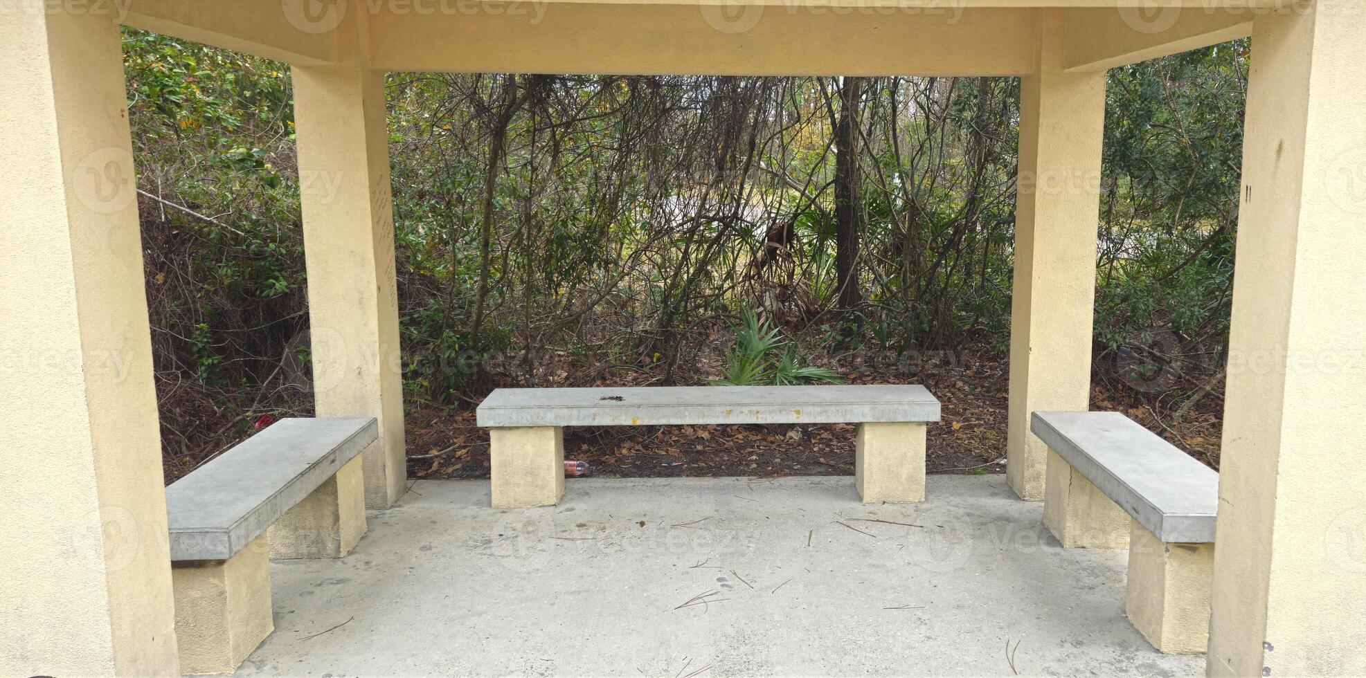 A gazebo with benches and a tree in the background photo