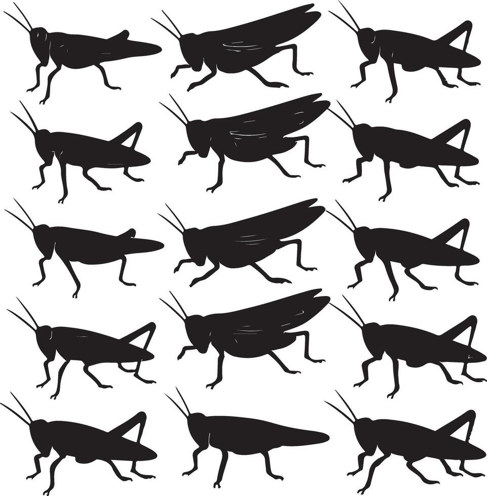 A line drawings of grasshoppers vector