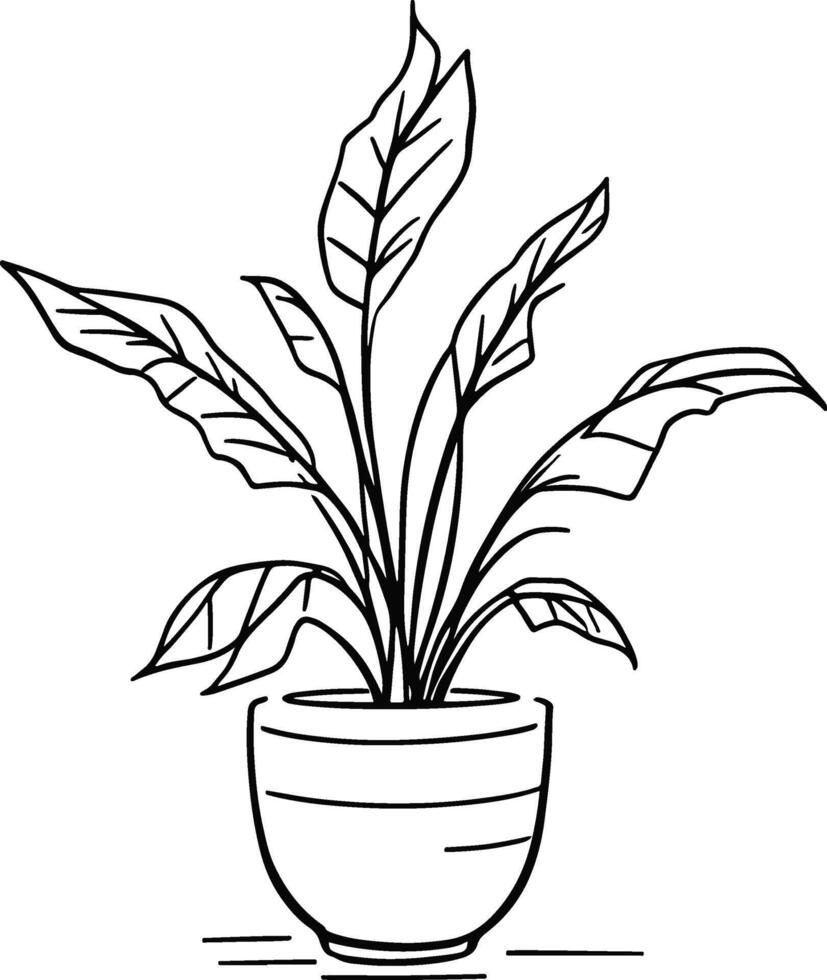 A plant in a pot coloring page vector