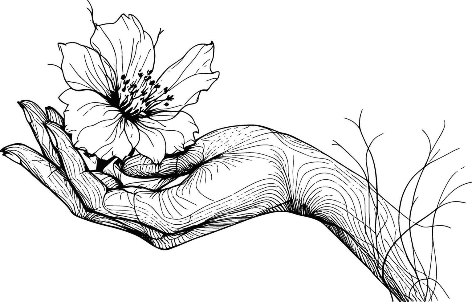 Hand holding flower vector