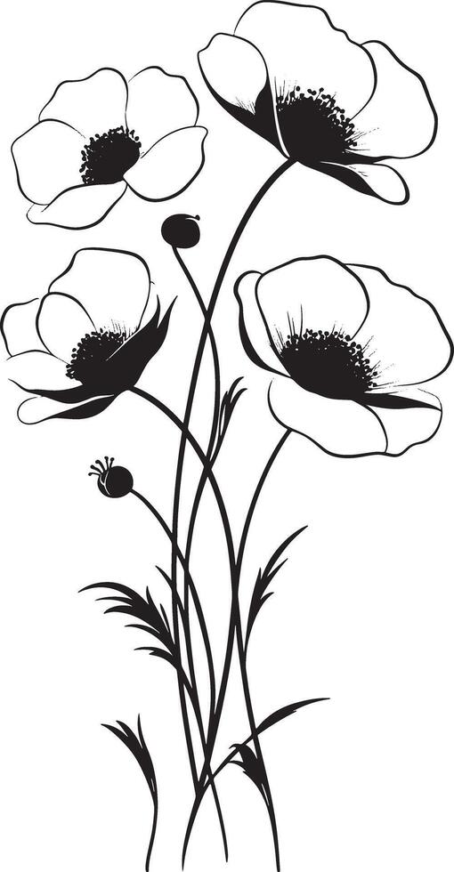 Poppy flowers black and white vector