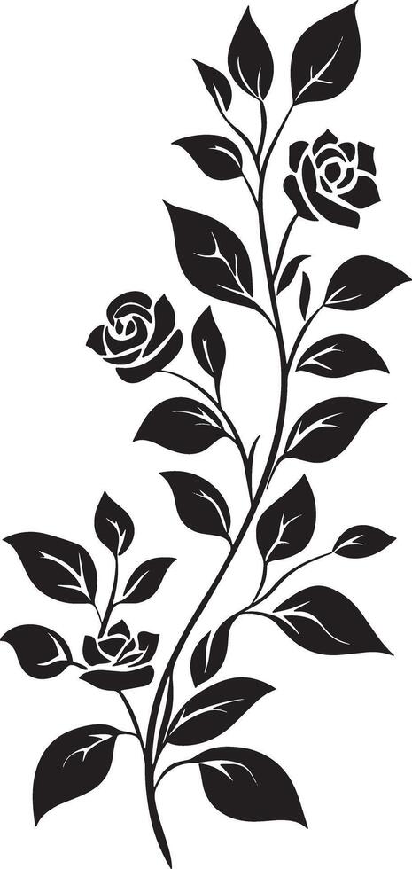 Black and white roses on a branch vector
