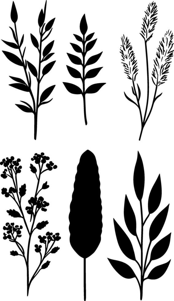 Black and white silhouettes of plants and flowers vector