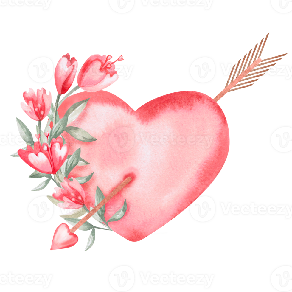 Composition of a heart pierced by an arrow and flowers. Isolated watercolor illustration for the design of gift products for Valentine's Day, printing on posters, clothes, fabric. png