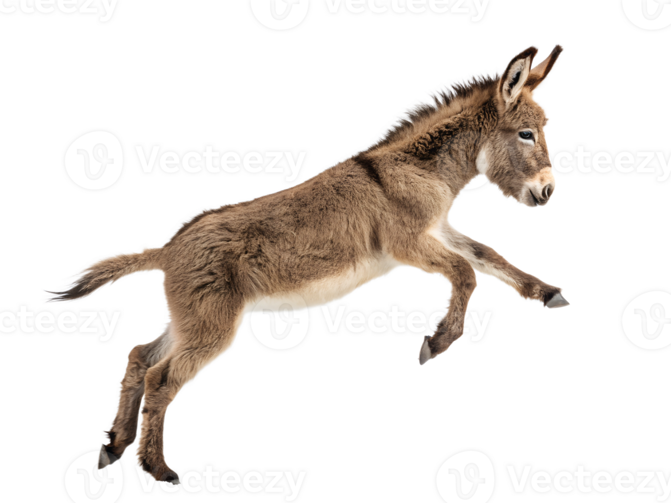 The donkey is jumping, isolated on a transparent background png