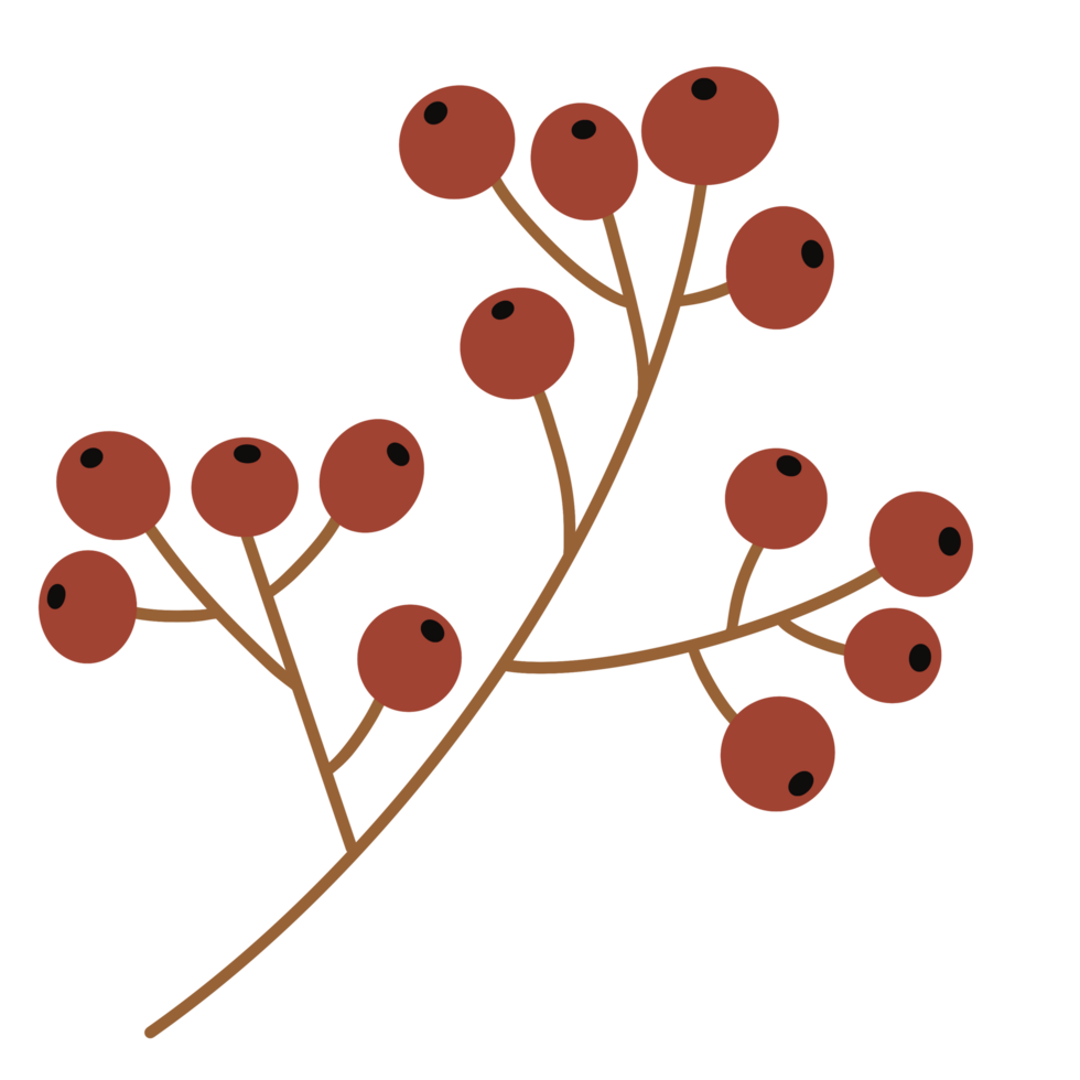 Winter red berries png