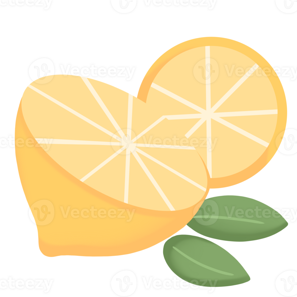 lemon slice with leaves on transparent background png