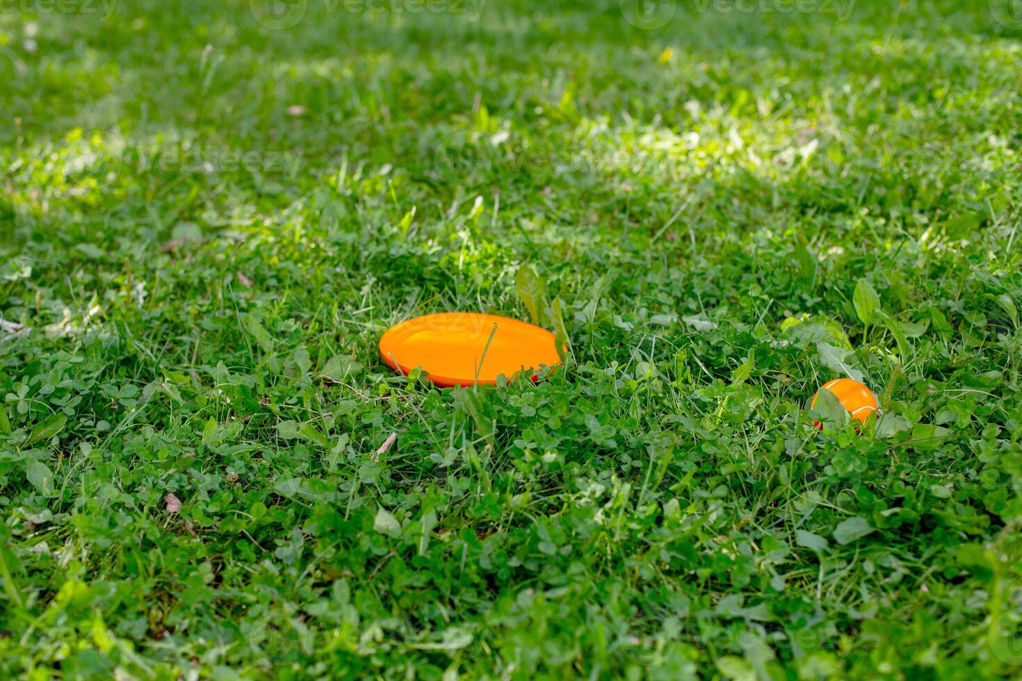 Bright orange frisbee disc on green grass lawn photo