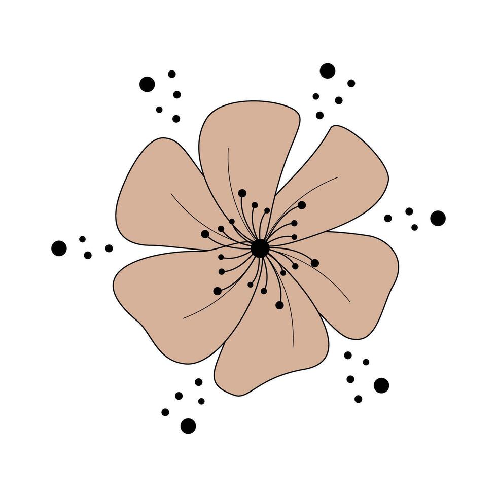 abstract flower illustration brown and beige on a white background. vector