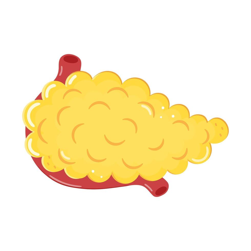 Pancreas character. hand drawn cartoon kawaii character illustration icon. Isolated on white background. Pancreas character concept vector
