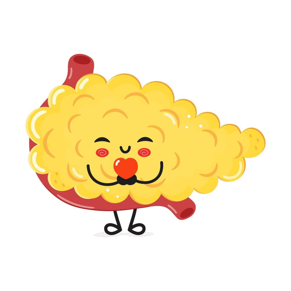 Pancreas holding a heart in hands character. hand drawn cartoon kawaii character illustration icon. Isolated on white background Pancreas in love character concept vector