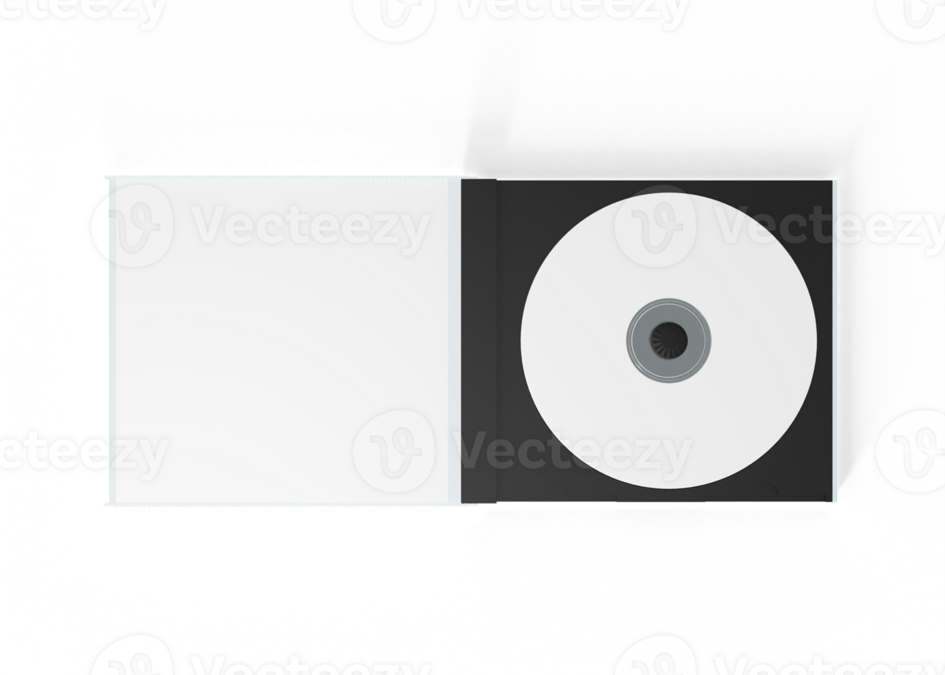 CD Packaging Identity png