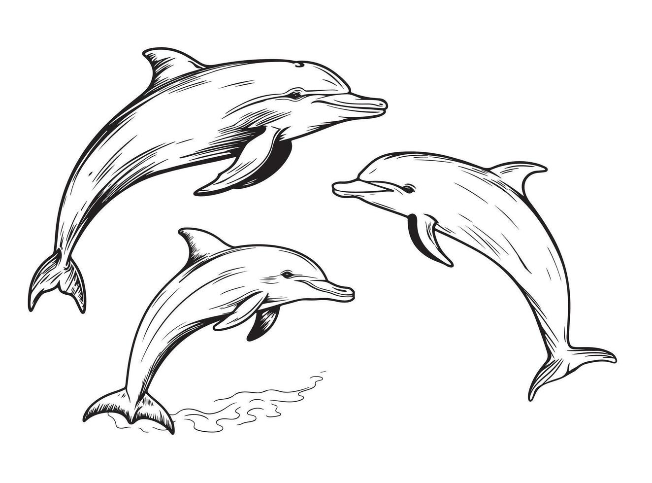 Dolphins jumping hand drawn sketch dolphins vector