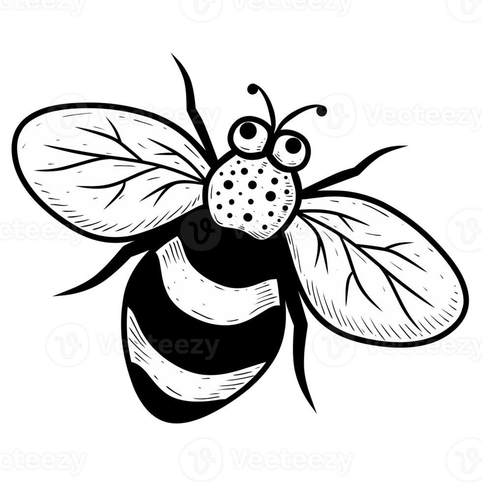 Sketch illustration of bee isolated png