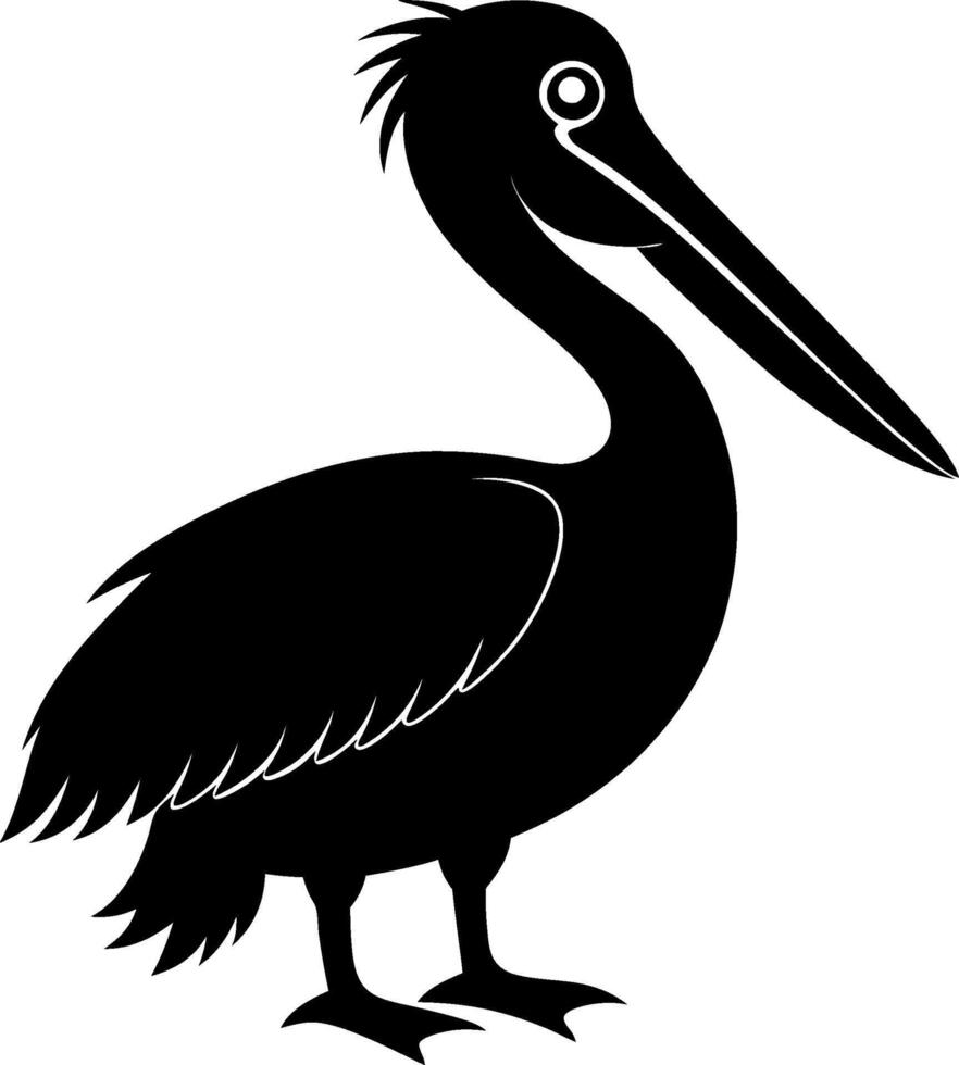 Pelican Bird illustration vector