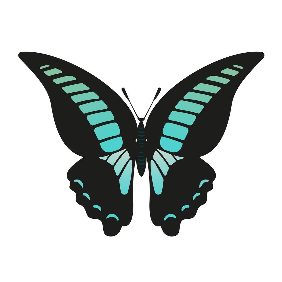 A stunning illustration of the Butterfly Graphium sarpedon, blue wings. This artwork highlights the intricate patterns and delicate beauty of this species, perfect for nature enthusiasts. vector
