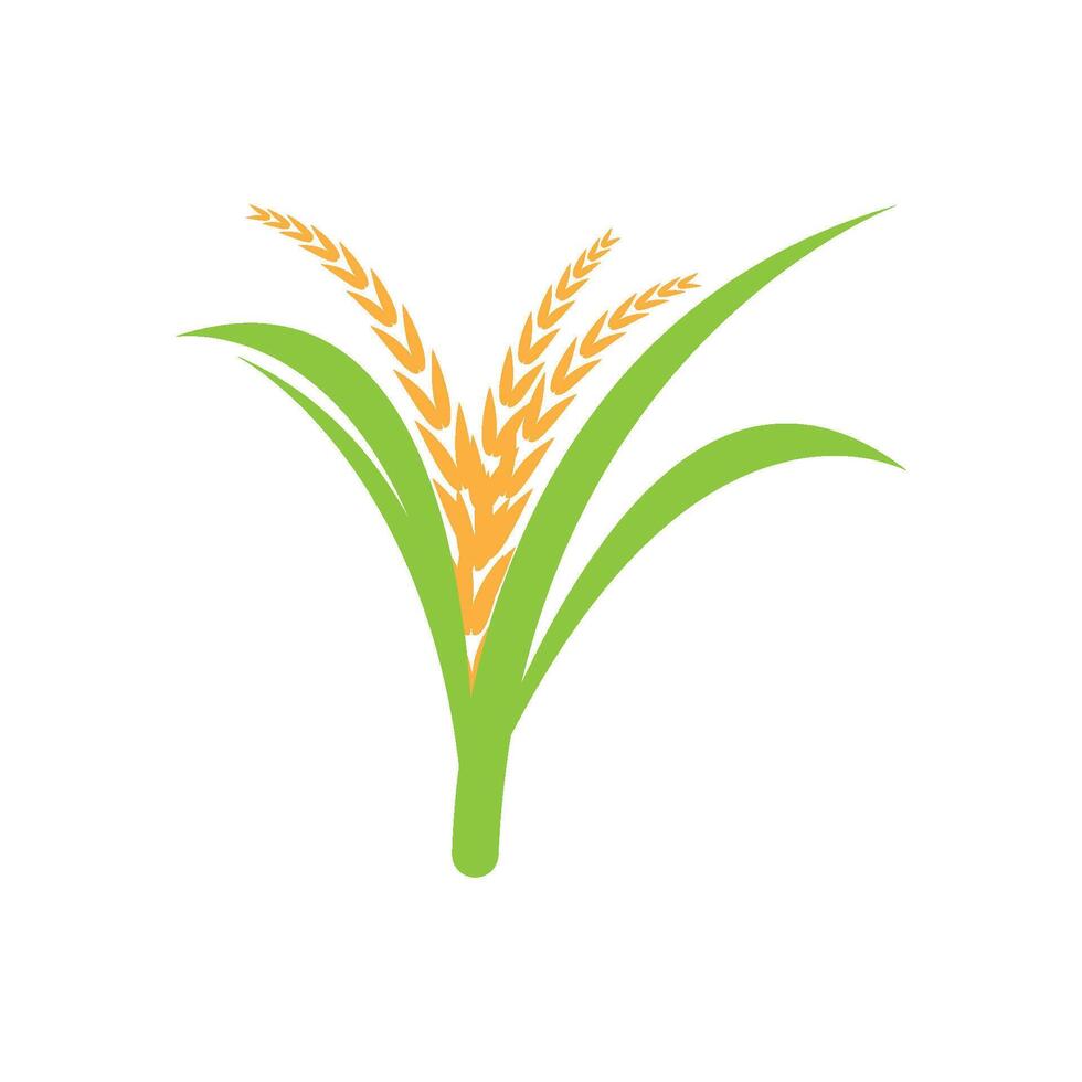 Rice logo design vector