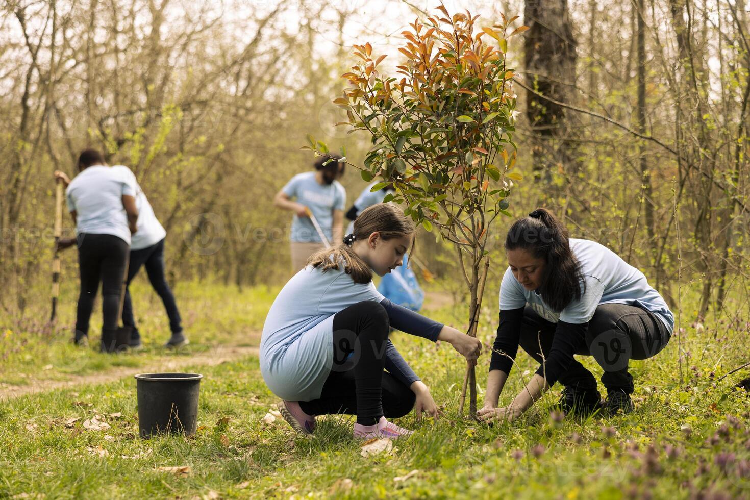 Mother and daughter cultivating life by planting trees in the forest, increasing vegetation and working on ways to preserve natural ecosystem. Family volunteering for reforestation plan. photo