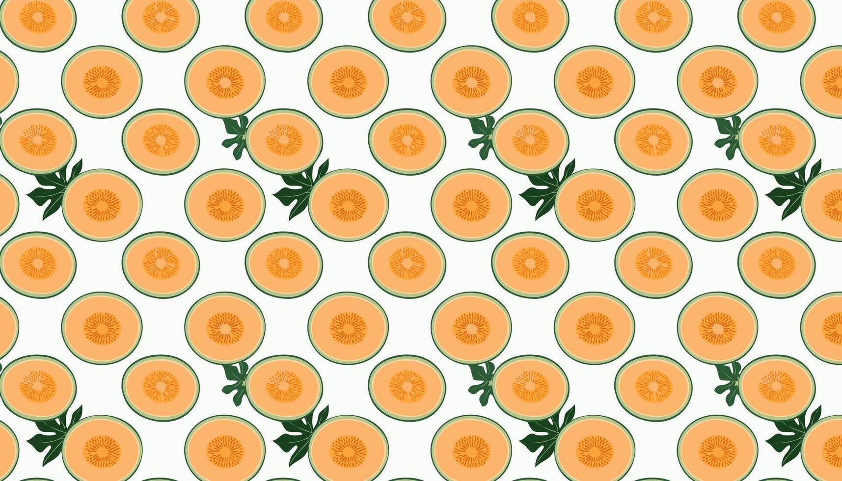 Cantaloupe melon pattern. illustration. vector