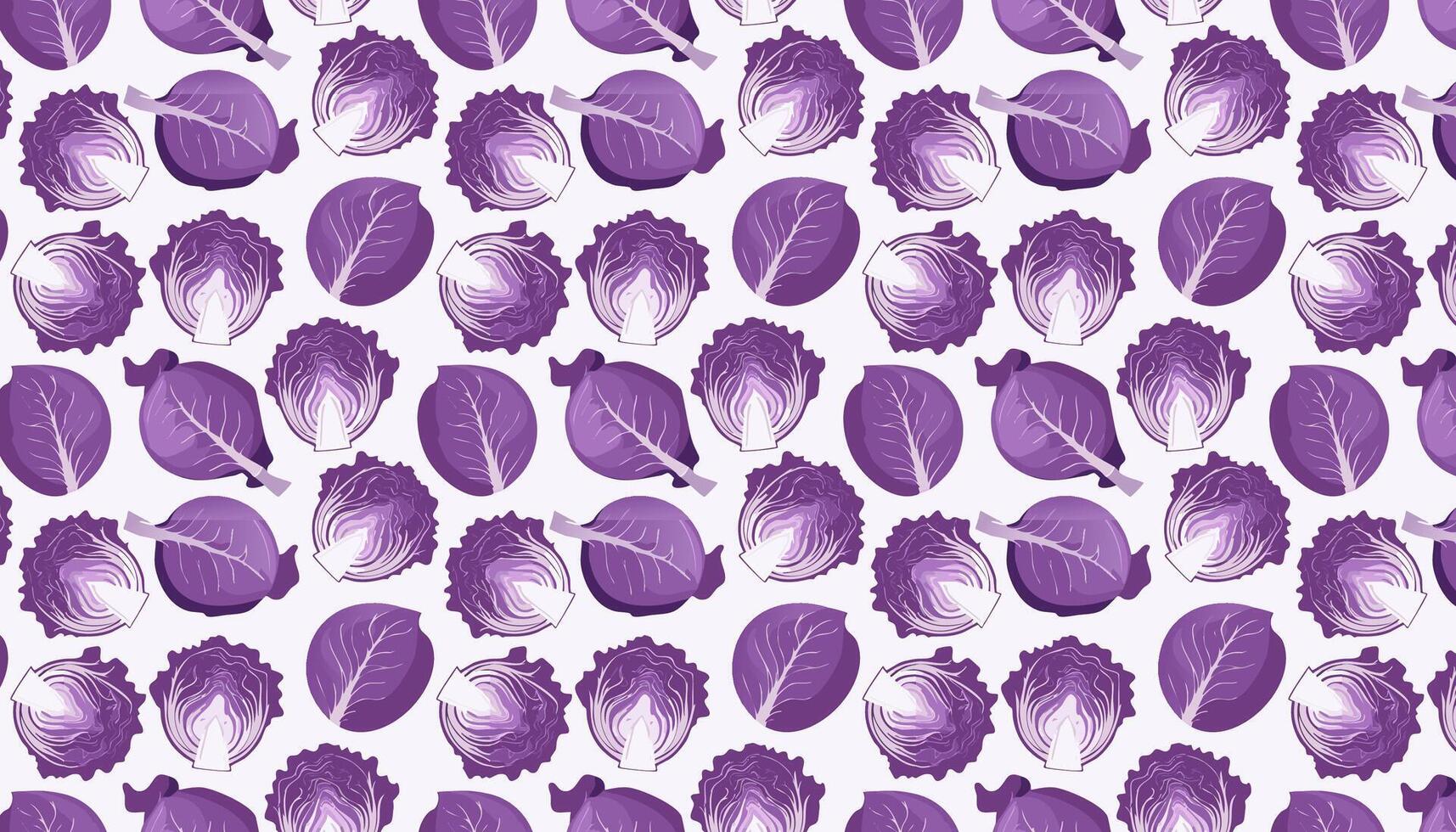 Seamless pattern with purple cabbage. illustration on white background. vector