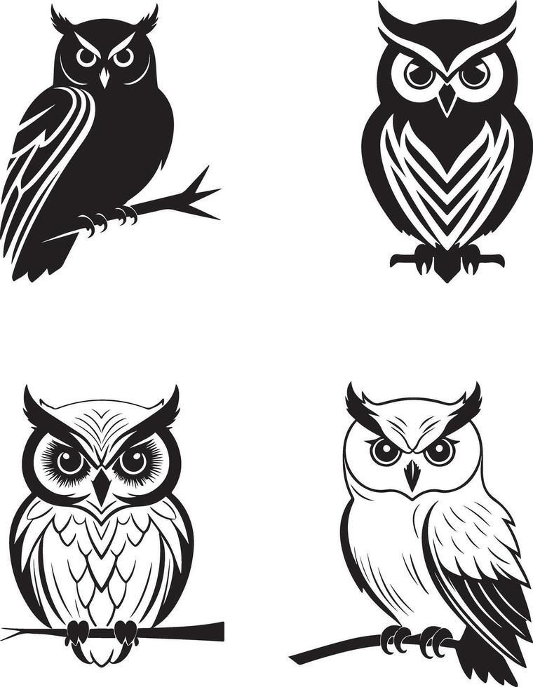 First Owl Silhouette on White Background vector