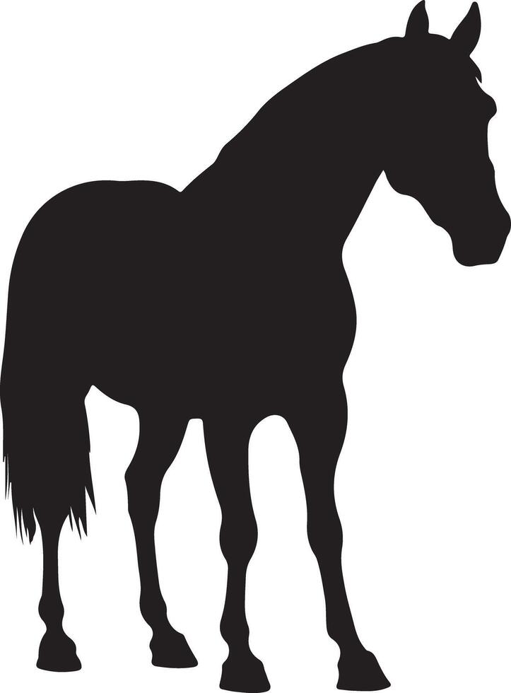 Elegant Stallion Silhouette on White Background vector