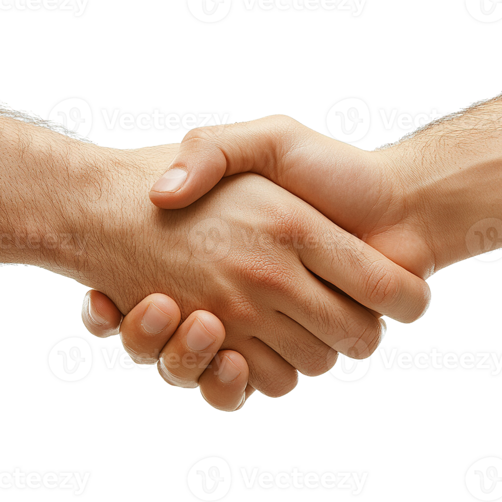 Two Hands Meeting in a Classic Handshake Pose Ideal for Business Communication and Networking Concepts png