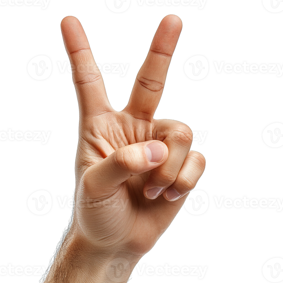 Hand Forming a V Shape for Peace or Victory Isolated on a Transparent Background png
