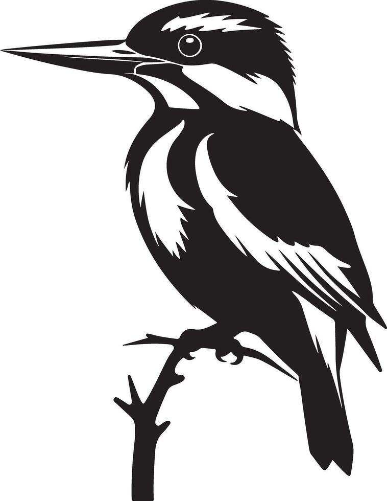 Kingfisher Silhouette on White Background vector