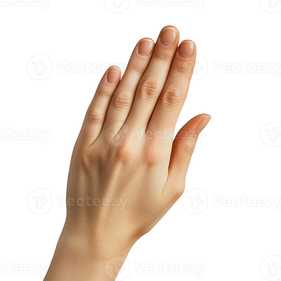 Hand Displaying a Neutral Gesture with Closed Fingers Isolated on a Transparent Background png