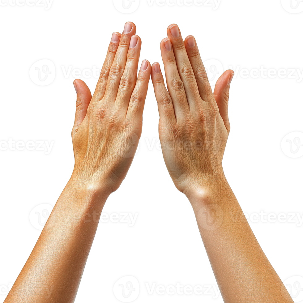 Two Hands in a Gesture of Praise or Readiness, with Palms Facing Each Other Isolated on Transparent Background png