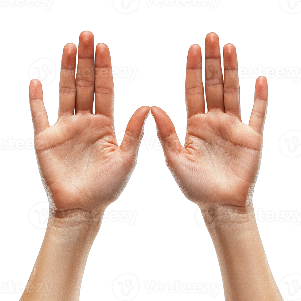 Symmetrical Hand Gesture with Palms Facing Forward and Fingers Spread Isolated on Transparent Background png