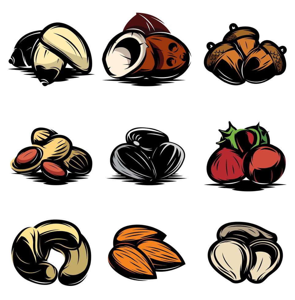 Nuts and Seeds Illustration Variety Pack for Designers vector